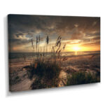 " Grassy And Beach Sunset " - Image 6