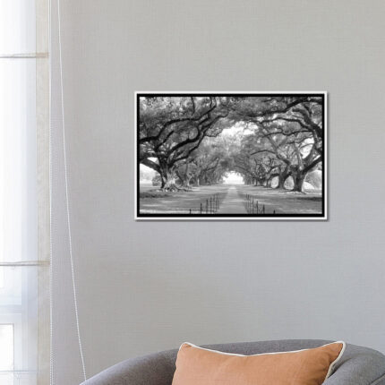 Brick Path Through Alley of Oak Trees, Louisiana, New Orleans, USA Black and White I by Panoramic Images – Graphic Art Print on Canvas - Chic Decora