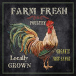 Jean " Farm Fresh Rooster " by Jean Plout - Image 8