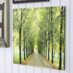 " Path Of Life " - Image 7