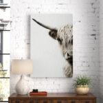 Jarne " Highland Cattle " - Image 6