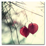 " Together " by Beata Czyzowska Young - Image 7