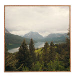 " Summer In Montana " by Catherine McDonald - Image 7