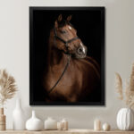 Horse Portrait - Animals Wall Art - Image 7