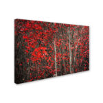 " The Hush Before Winter " by Philippe Sainte-Laudy - Image 8