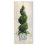 " Spiral Topiary " by Carol Robinson - Image 7