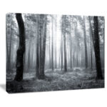 " Black And White Foggy Forest " - Image 8