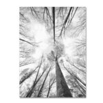 " Recall The Days " by Philippe Sainte-Laudy - Image 8