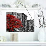 " Red Tree On Black And White New York City Street " - Image 7